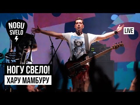 Видео: Ногу Свело! - Хару Мамбуру (Live)