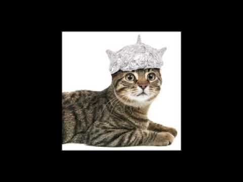 Видео: ИНЫЕ, Обними Кита, Cyber Klondike   Шапочка из фольги