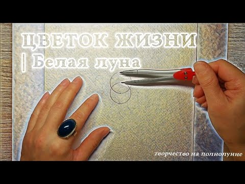 Видео: ЦВЕТОК ЖИЗНИ |1| Белая луна