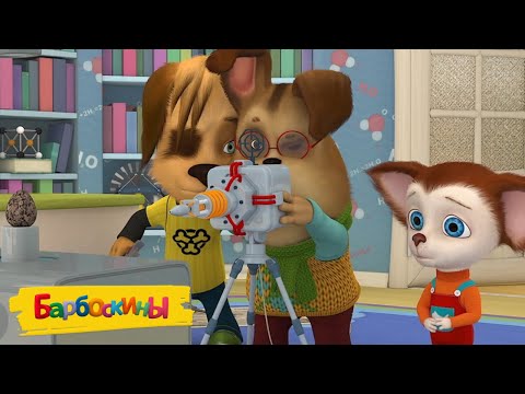 Видео: Барбоскины | Кошки 🐱 против собак 🐶 Сборник мультиков для детей