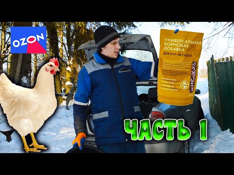 Видео: INPROTEIN - ЧЕРНАЯ ЛЬВИНКА В ГРАНУЛЕ   Часть1