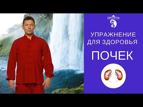 Видео: Упражнение для здоровья почек (бесплатный урок)