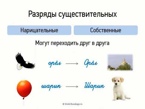 Видео: Разряды существительных (6 класс, видеоурок-презентация)