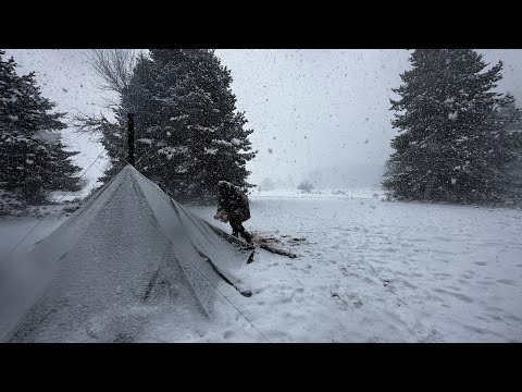 Видео: Пойманный в шторм - Зимний кемпинг в метель с собаками, снег, ветер, плохая погода