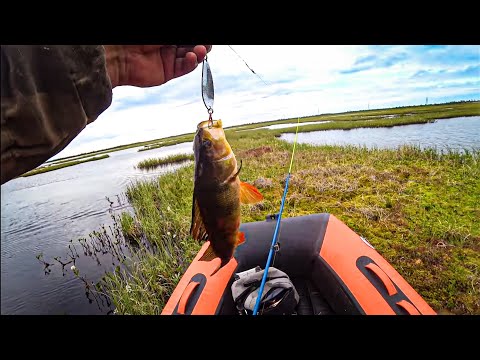 Видео: Дикая рыбалка задалась, обновил лодку