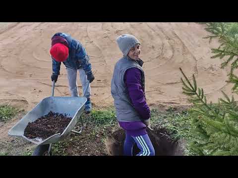 Видео: фундамент под гараж- облегченная монолитная плита: все этапы.