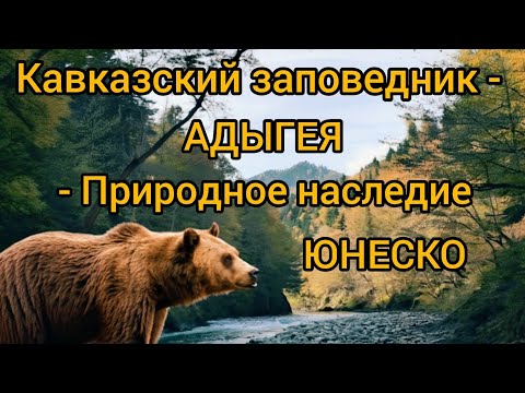 Видео: Что скрывает Кавказский заповедник- АДЫГЕЯ- Природное наследие ЮНЕСКО