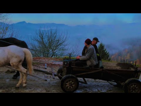 Видео: Далеко за пределами цивилизации: как они выживают в полной изоляции