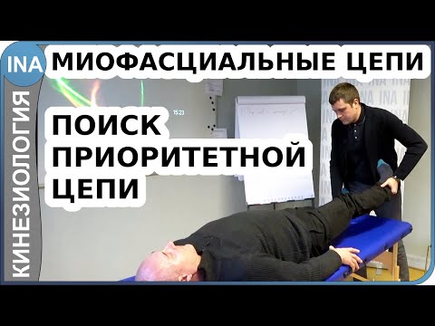 Видео: Миофасциальные цепи. Поиск приоритетной цепи. Прикладная кинезиология