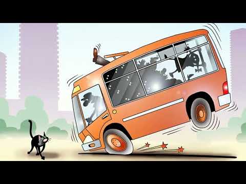 Видео: Чёрный кот