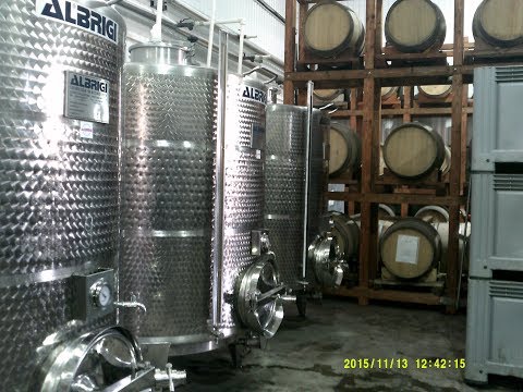 Видео: Виноделие, часть первая!