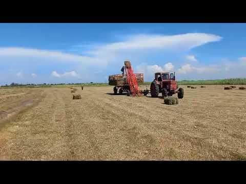 Видео: Пресс подборщик Киргизстан с германским аппаратом #джондир #automobile #киргизистон #киргизстан #