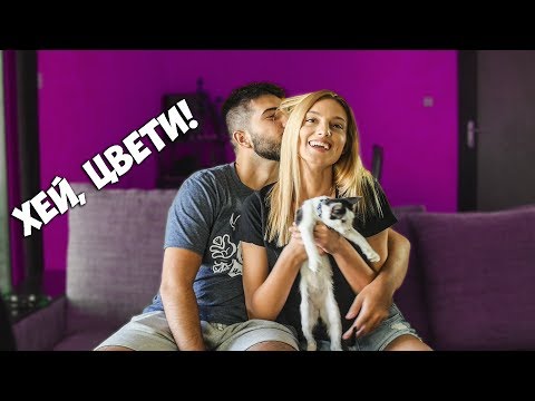 Видео: Хей, Колев и Цвети!