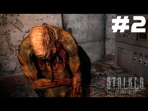 Видео: Прохождение S.T.A.L.K.E.R.: Call of Pripyat | t1mrey | #2