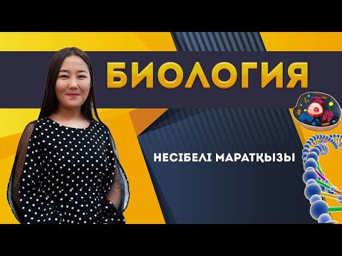 Видео: Биологиядан ҰБТ-да кездесетін есептерді шешу / ҰБТ-ға дайындық