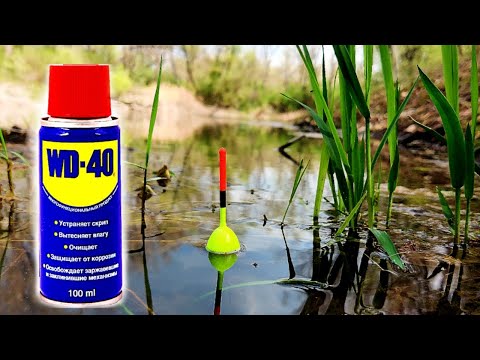 Видео: Бешеный клев КРУПНОГО КАРАСЯ на WD-40. Рыбалка поплавок весна 2025