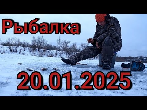 Видео: Рыбалка на кивок 20 января 2025 г.на диком озере! Глубина 8 м и здесь вся рыба! Зимняя рыбалка 2025