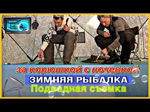 Видео: Зимняя рыбалка на корюшку с ночевкой. Сахалин 2025