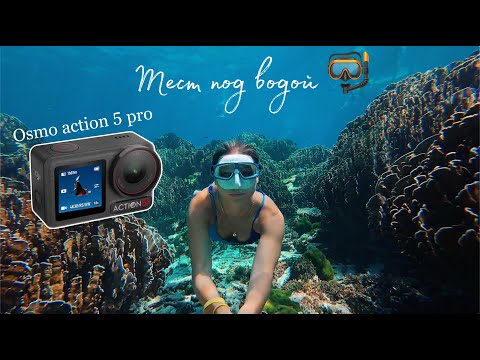 Видео: osmo action 5 pro тест в воде. Мутная vs Чистая вода