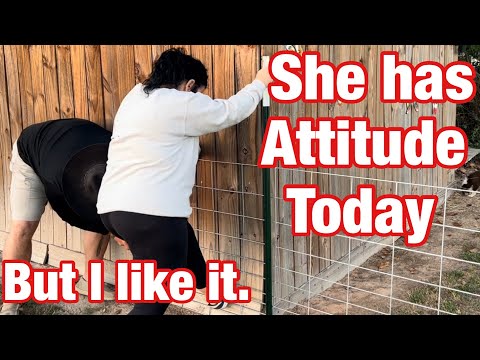 Видео: Больше заборов для самых маленьких