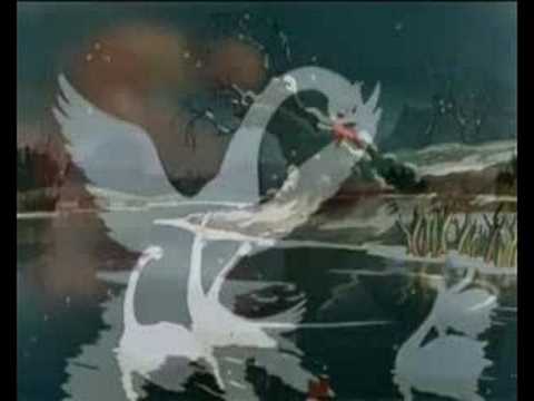 Видео: Лебединая верность...