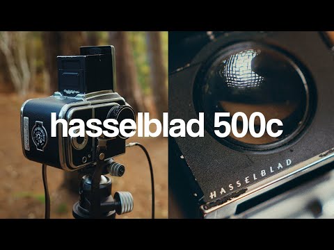 Видео: Hasselblad 500C — отношения любви и ненависти