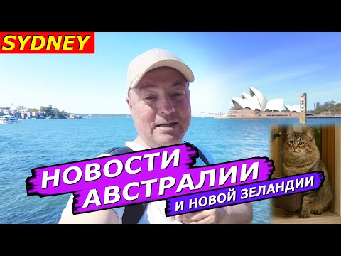 Видео: Фатальные отвлечения, Пенсионные Tiny homes.Туалет за 350К Лечение Рака Напечатанный дом Кот-Великий