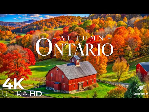 Видео: Онтарио осенью 4K UHD | Полёт над яркой осенней листвой, живописными озёрами и реками
