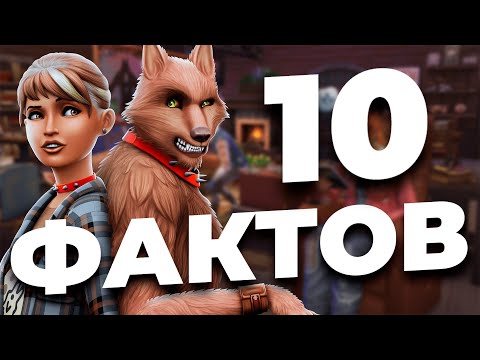 Видео: 10 ФАКТОВ ПРО ИГРОВОЙ НАБОР "ОБОРОТНИ"