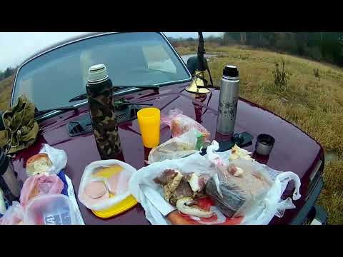 Видео: охота с Русскими пегими на лису. мр 43