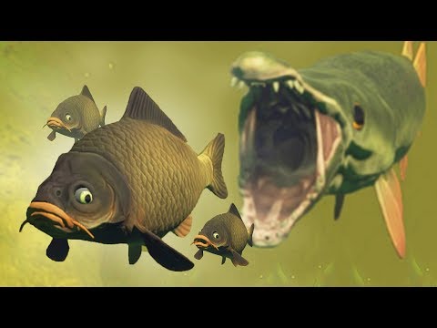 Видео: ЭВОЛЮЦИЯ КАРПА В БОЛОТЕ, ВЫЖИВАНИЕ СТАИ КАРПОВ! | Feed and Grow Fish