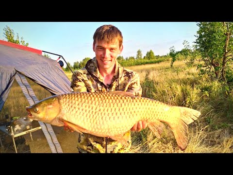 Видео: На Ахтубу за амуром и сазаном! Огромный амур порвал леску.