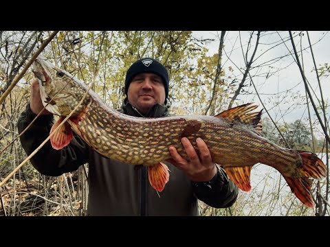 Видео: ЩУКА 7 кг ВИПЛИГНУЛА З ЧОВНА, АЛЕ Я ВПІЙМАВ ТРОФЕЙ!!!
