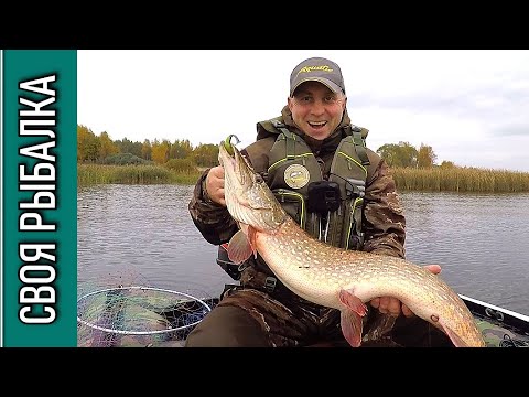 Видео: ЩУКА на ДЖИГ ОСЕНЬЮ в русле реки!