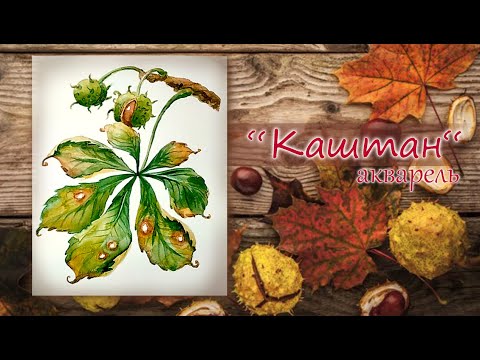 Видео: РИСУЕМ ОСЕННИЙ ЛИСТ АКВАРЕЛЬЮ ШАГ ЗА ШАГОМ🌿WATERCOLOR PAINTING FOR BEGINNERS