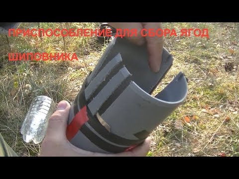 Видео: Комбайн для сбора ягод шиповника, боярышника, рябины