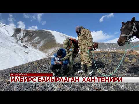 Видео: Илбирс байырлаган Хан-Теңири 