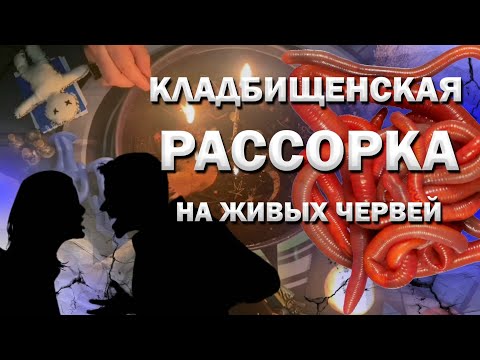 Видео: КЛАДБИЩЕНСКАЯ РАССОРКА НА ЖИВЫХ ЧЕРВЕЙ😈 РАЗРУШИТЬ ОТНОШЕНИЯ РАССОРИТЬ ПАРТНЕРОВ ЗАГОВОР СИЛЬНЕЙШИЙ