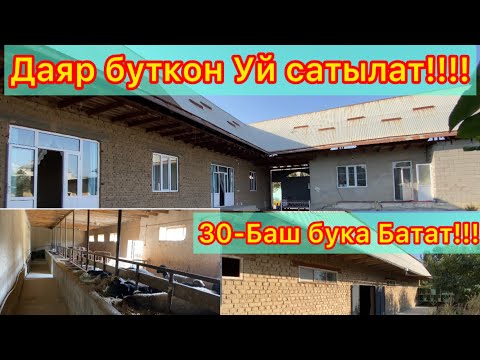 Видео: Комфорт Уй Сатылат☎️ (0553) 420-900 Кызыл-Кыя !!! Баарыбызга насип кылсын