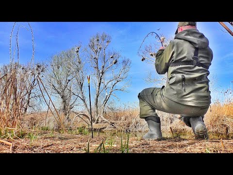 Видео: РЕАЛЬНЫЕ ЛАПТИ в самом ДИКОМ МЕСТЕ!!! Огромные КАРАСИ КАК САЗАНЫ клюют под НОГАМИ. Рыбалка на ДОНКИ.