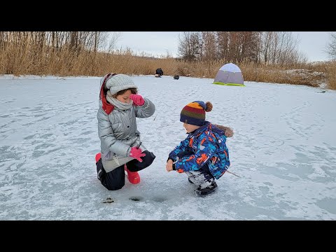 Видео: НАДО ВИДЕТЬ! ЧТО ПОЙМАЕТ СЫН? Взял сына на зимнюю рыбалку