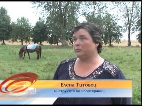 Видео: «Живое» исцеление. Иппотерапия: как лошадь может стать не просто другом, но и лекарем?
