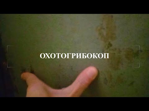 Видео: Охотогрибокоп