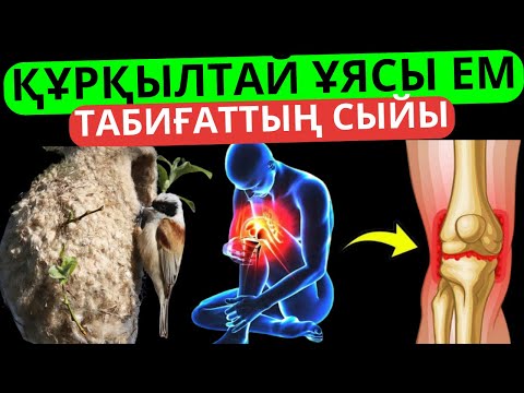 Видео: Құрқылтай ұясының пайдасы 80 ауруға ем