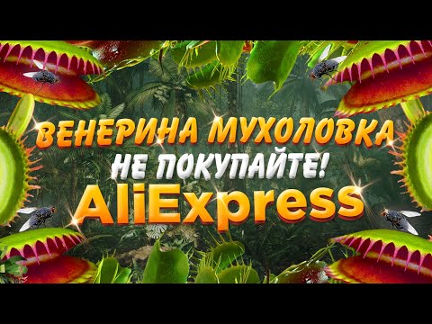 Видео: 🌸🌱Венерина мухоловка с Али Экспресс🌱