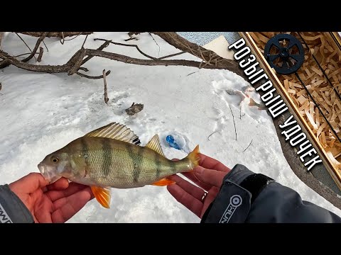 Видео: Сказал ЗАКЛИНАНИЕ и вот оно ЧУДО