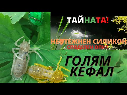 Видео: ТАЙНАТА! Кефал На Неутежнен Силикон / Споделен Опит