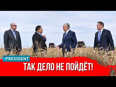 Видео: Ответ Президента на наплевательское отношение бизнеса | President