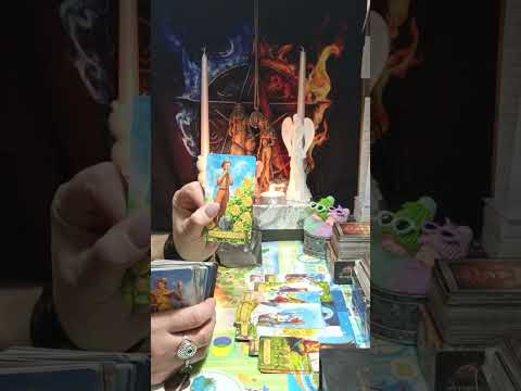 Видео: 😲🤯😱Горькая правда о короле жезлов🤕🤦‍♀️🫣🤷‍♀️