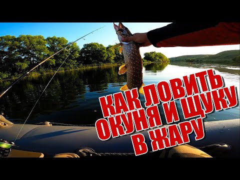 Видео: Как ловить щуку и окуня в жару | Море щуки в одной точке | Одна приманка спасла рыбалку | Сплав